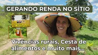 Conheça a história da Sophie e as oportunidades e desafios de empreender no Campo! Parte 1