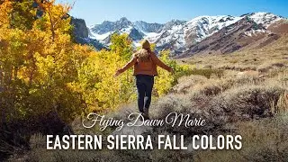 VLOG 165: Eastern Sierra Fall Colors (2022 Edition)