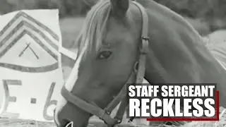 Staff Sergeant Reckless | A Korean War hero