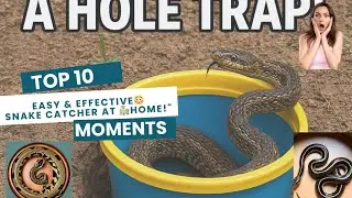 Easy & Effective Snake 🪱Catcher at Home!