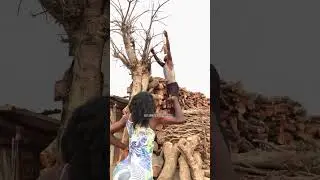 He Climbed a Tree After an Unexpected Encounter#trending#comedy #comedymove