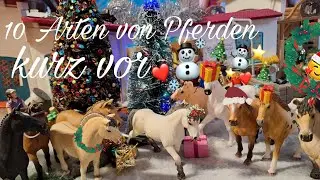 10 Arten von Pferden kurz vor Weihnachten🎅🎄☃️(lustig)🤣