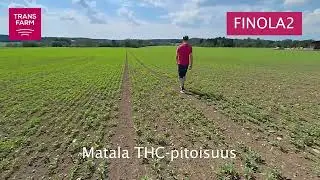 Finola kasvukausi 2024 Somerolla