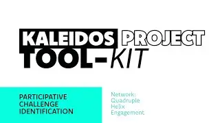 The KALEIDOS Toolkit: Common challenges for a network