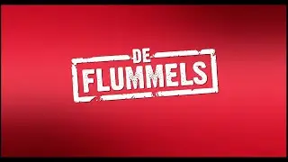 DE FLUMMELS (2020) Streaming HD-Rip Dutch