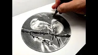 Charcoal Conte Rendering: High-Contrast Realism in Circular Composition