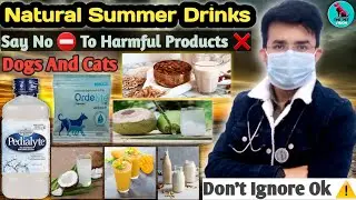 गर्मियों मे रखें Dog को Healthy 💪 || Natural Summer Drinks For Dogs/Cats || बीमार नहीं होगा Try This