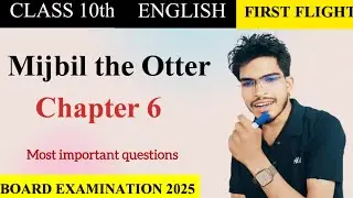Mijbil the Otter: Gavin Sandburg | Class 10 English Chapter 6 most questions (2024-25)
