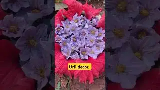 urli decor #urli #flowers #viralvideo #flowerarrangements #chennai #viralshort #shortvideo #videos