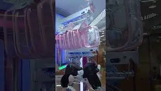 #hongkongadventure #arcadegames #shorts #trending #views