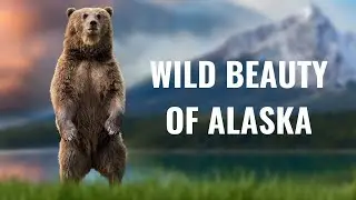 Wild Beauty of Alaska and Breathtaking Landscapes | 4K