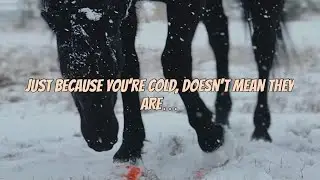 This is why I don&rsquo;t blanket my horse - even in the coldest conditions