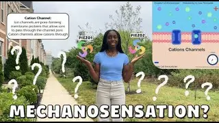 The Hidden Forces Behind Our Sense of Touch | 2026 Science Ambassador Scholarship Entry