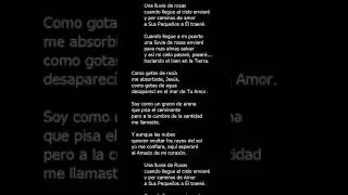 Una lluvia de rosas