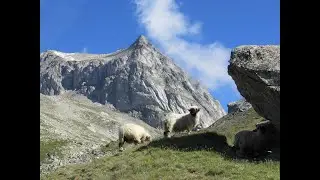 Wunderschöne 17 Seillängentour via Ostgrat auf das Wiwannihorn 3001 m