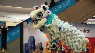 Be Careful Of Dangerous Steps In The Traditional Lion Dance #chineseliondance #liondancechaser