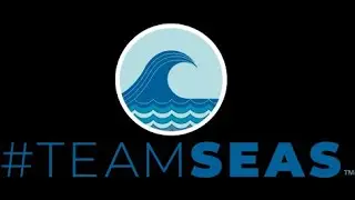 {Reuploaded} EVERY TRASH I PICK UP I WILL DONATE TO A TRASH COMPANY!  SO CONFUSED  #TEAMSEAS