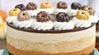 Pumpkin Chocolate Mousse Cake Recipe ||Easy Mousse Dessert ||No Bake Chocolate Mousse Cake ||