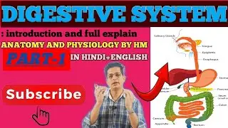 Digestive system | Stage of food processing🤔 | introduction | An overview |anatomy and physiology 