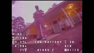 YARD RIPPIN