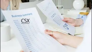 CSX Business Summary