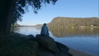 Nature never goes out of style. - Sydney NSW Australia
