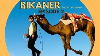 Bikaner Rajasthan | EP 2 | Desert Tales | Karni Mata Temple | Bhujia | Devi Kund Sagar