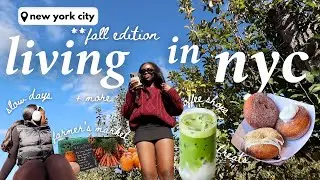 living in new york city. fall activities, slow days, coffee shops, nyc marathon, setting a routine