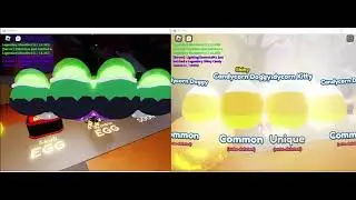 HATCHING SHINY PRINCE PUMPKIN ON CAMERA MS2 - 1/100M (24TH SECRET) (First Shiny Secret)