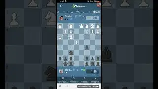Fast chess 147