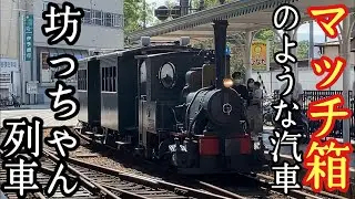 【マッチ箱のような汽車】伊予鉄道　坊っちゃん列車　乗車記　道後温泉駅→古町駅　2021年10月3日