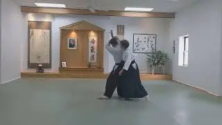 Aikido - kosadori sankyo