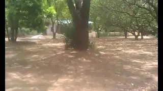 IN THE UNIVERSITY OF ILORIN ZOO