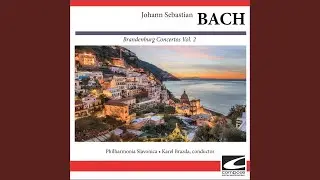 Bach - Brandenburg Concerto No. 6 in B flat major BWV 1051 - Allegro 1