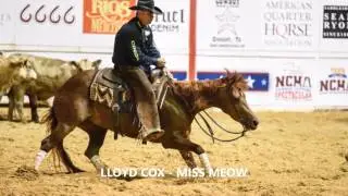 2017 NCHA SUPER STAKES OPEN CLASSIC FINALS CHC TRAINERS