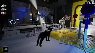 Never Experiment On Cats Coming Soon!