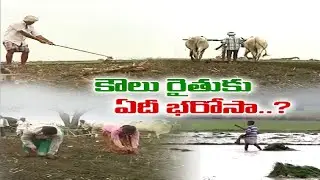 సవాలక్ష కష్టనష్టాలతో ఎదురీదుతున్న కౌలు రైతులు | Tenant Farmers Worried | on Aid for Crop Loss