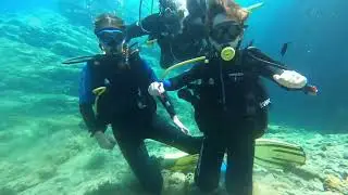 Discover Scuba diving in Porto Elea