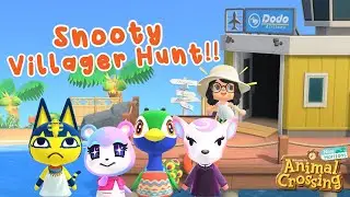 Hunting For A Snooty Challenge! | Animal Crossing New Horizons