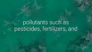 Water pollution and its effects of human health
