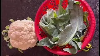 PHOOL KOFIR PATA BATA