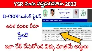 Ap input subsidy 2022 status|Ysr uchitha pantala bheema status 2022|Ap input subsidy 2022.