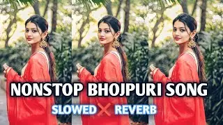 Non stop bhojpuri slowed reverb Song | Non stop bhojpuri song | Bhojpuri song mashup | New LOFI SONG