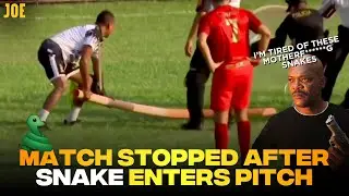 Match stopped after SNAKE enters field in Guatemala