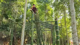 Young single mother builds a bamboo house inthe middle of a new forest in 2025