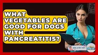 What Vegetables Are Good For Dogs With Pancreatitis? - Ask A Pet Vet