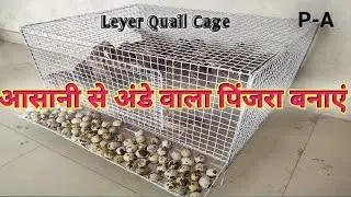 Leyer quail cage, Cage making for birds, Cage kaise banaye, cage making, Pinjra kaise banate hain,