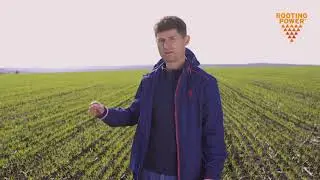 Eficacitate Vibrance&reg; Duo la SRL Terra-Vitis