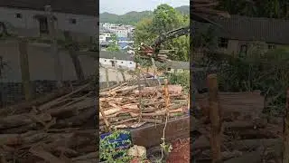 Efficient mountain timber loading operation
