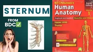 Sternum✅ | Anatomy | totally from BDC✅ 